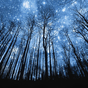 精品人妖videos欧美人妖
